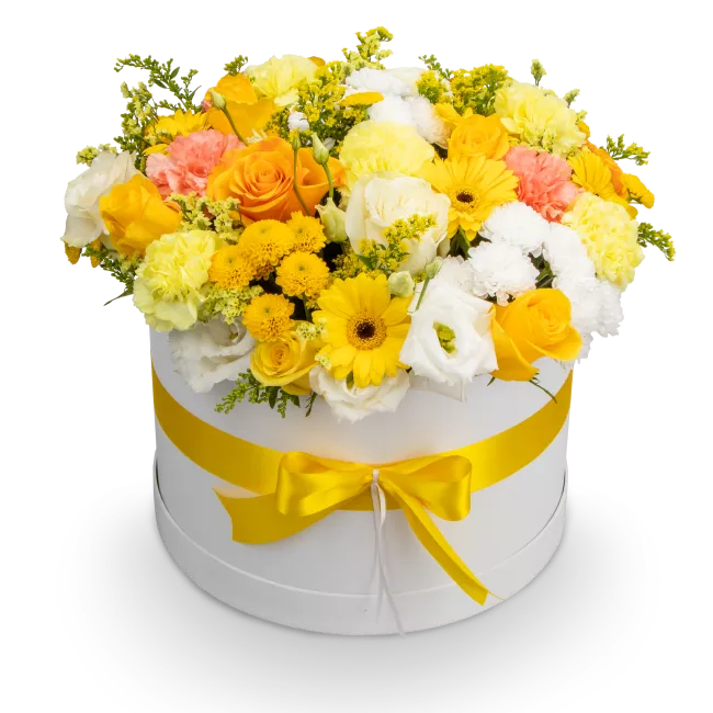 Box žlutých květin